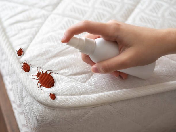 Best Pest Control for Multi-Family Homes  in Jekyll Island, GA